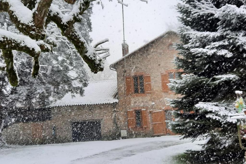 Maison Des Sequoias - Parc 1 Hectare- Veyrac Luaran gambar