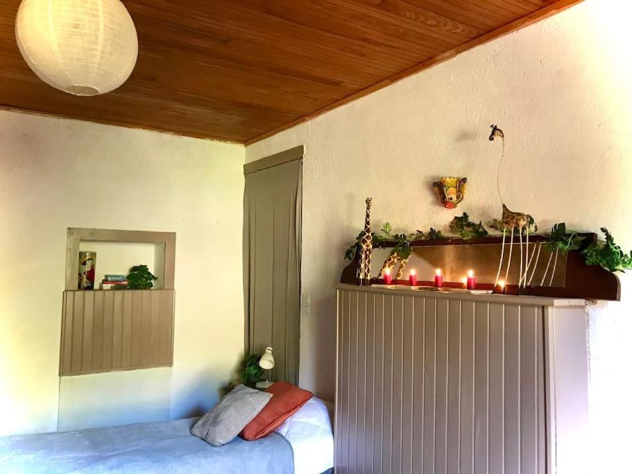 Maison Des Sequoias - Parc 1 Hectare- Veyrac Luaran gambar