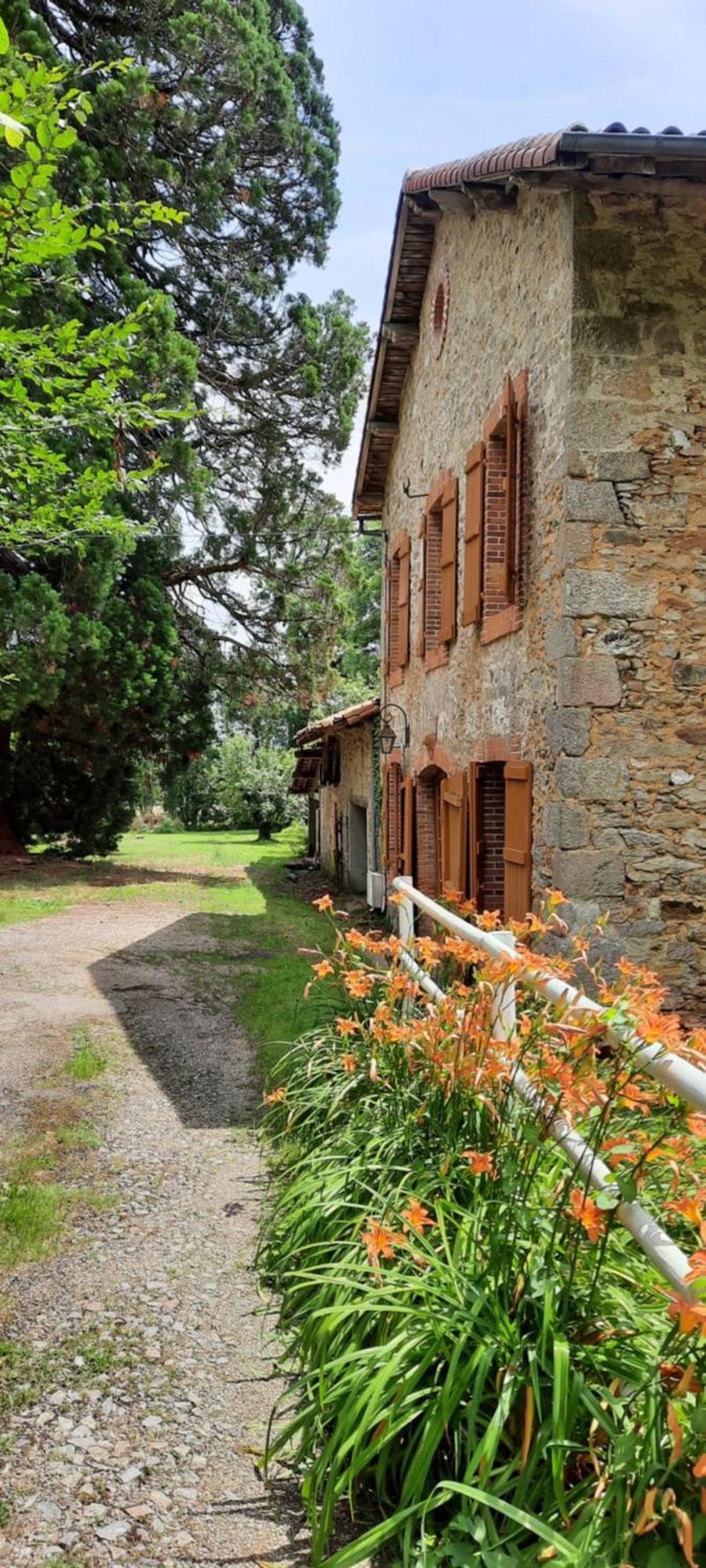 Maison Des Sequoias - Parc 1 Hectare- Veyrac Luaran gambar